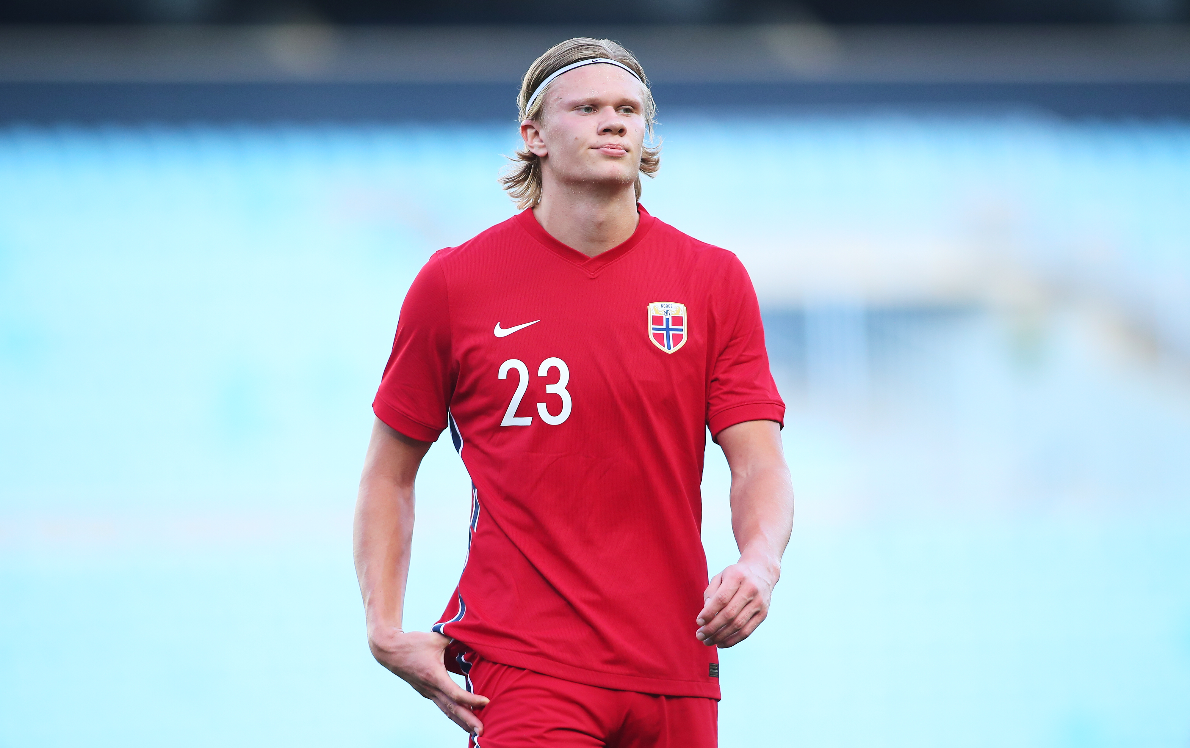 阵容与养成 阵容与养成